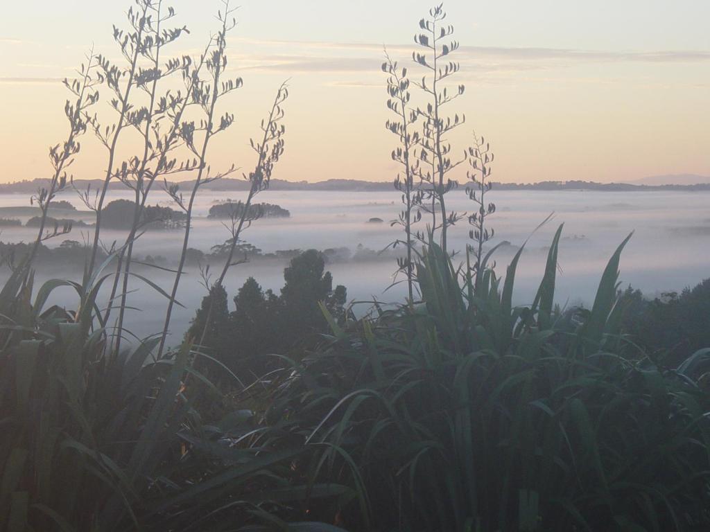 Matakana Country Lodge Buitenkant foto